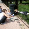Regalo Speciale: Una giornata allo zoo