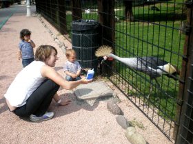 Regalo Speciale Una Giornata Al Parco Zoo
