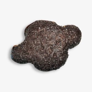 Colomba solidale al cioccolato